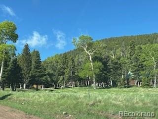 2945 Forbes Park Rd, Fort Garland, CO 81133 - photo 38