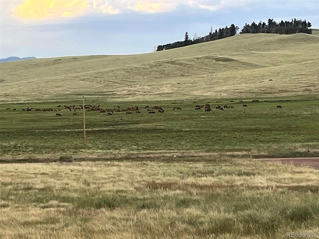 2945 Forbes Park Rd, Fort Garland, CO 81133 - photo 39