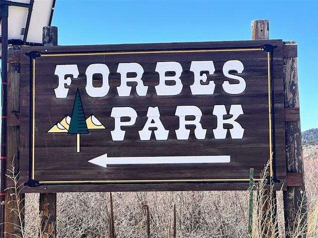 2945 Forbes Park Rd, Fort Garland, CO 81133 - photo 40