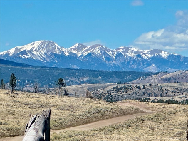 2945 Forbes Park Rd, Fort Garland, CO 81133 - photo 41