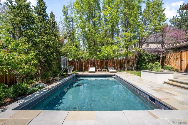 view of pool featuring a fenced backyard and a patio area