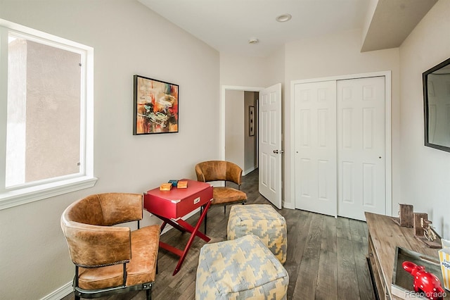 living area featuring dark wood-type flooring