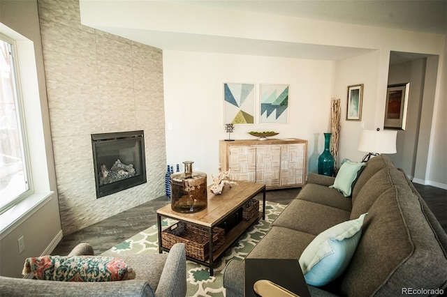 living room with a fireplace and wood-type flooring