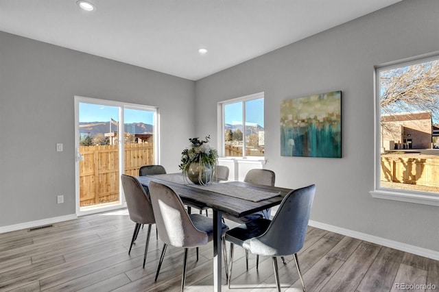 dining space with light hardwood / wood-style flooring