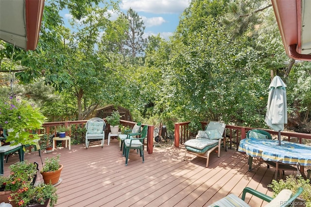 1945 Sage Dr, Golden, CO 80401 - photo 4
