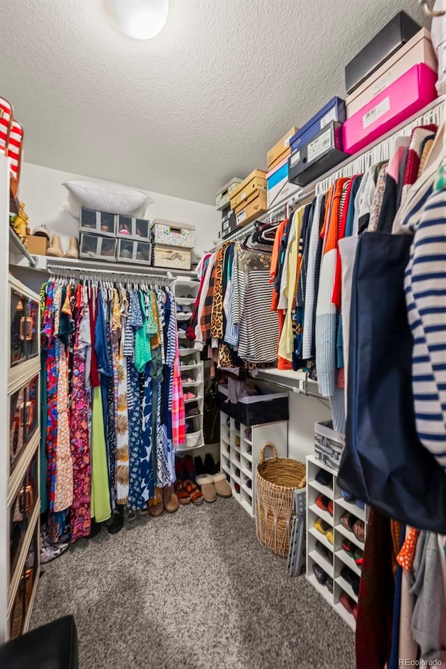 9957 Quintero St, Commerce City, CO 80022 - walk in closet with carpet flooring