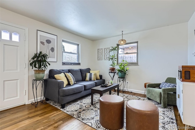 living room with hardwood / wood-style floors and a wealth of natural light