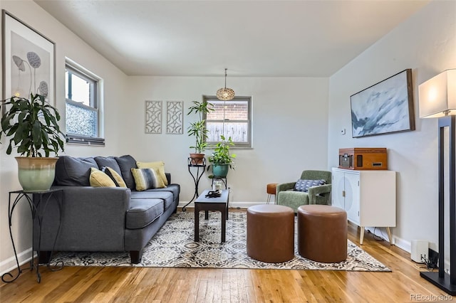 living room with hardwood / wood-style flooring and plenty of natural light