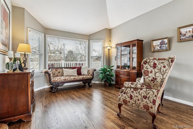 living area featuring dark wood-type flooring and vaulted ceiling