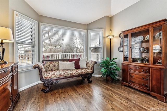 sitting room with wood-type flooring, vaulted ceiling, and a healthy amount of sunlight