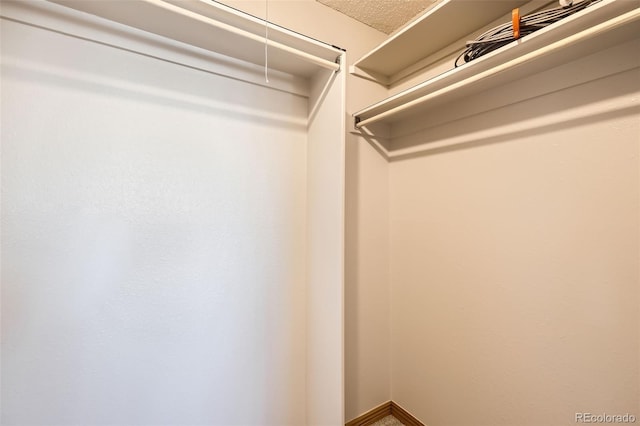 view of spacious closet