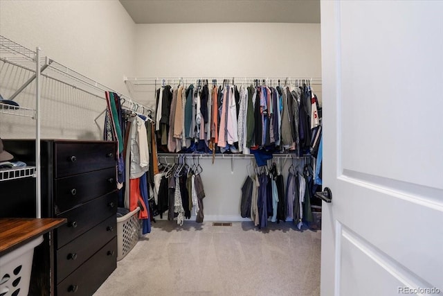 spacious closet with light colored carpet