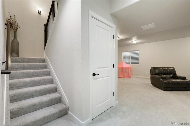 stairway featuring carpet floors