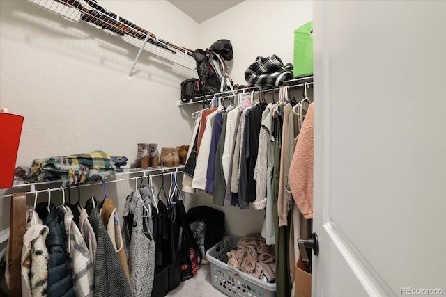 spacious closet featuring carpet flooring