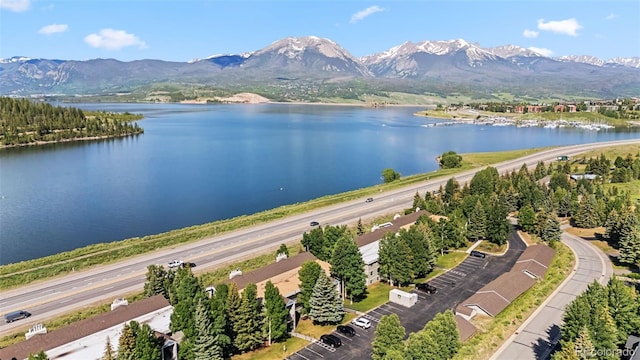 72 Corinthian Cir Unit 202, Dillon, CO 80435 - photo 50