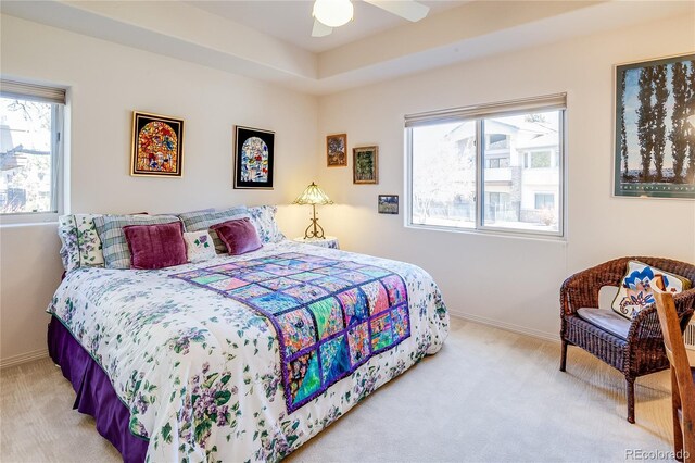 12 Canon Cir, Greenwood Village, CO 80111 - photo 37