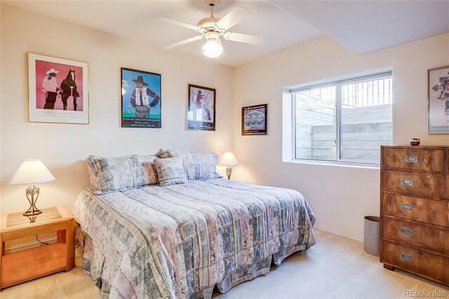 12 Canon Cir, Greenwood Village, CO 80111 - photo 38