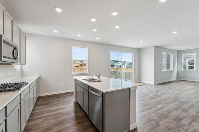 1349 Brookfield Pl, Erie, CO 80026