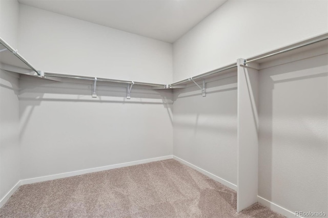 1349 Brookfield Pl, Erie, CO 80026