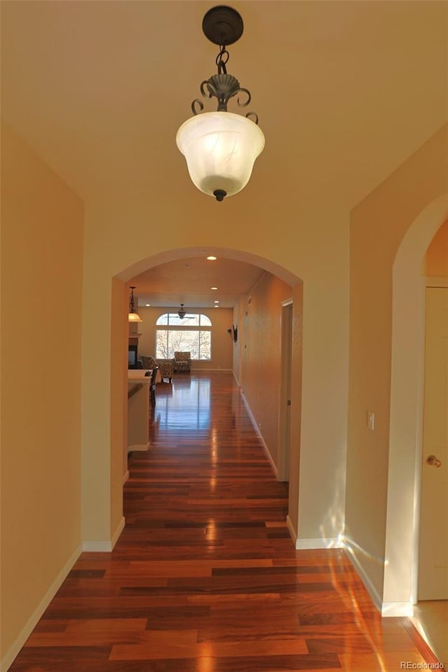 hall with dark hardwood / wood-style floors