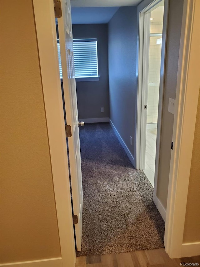 hallway with carpet flooring