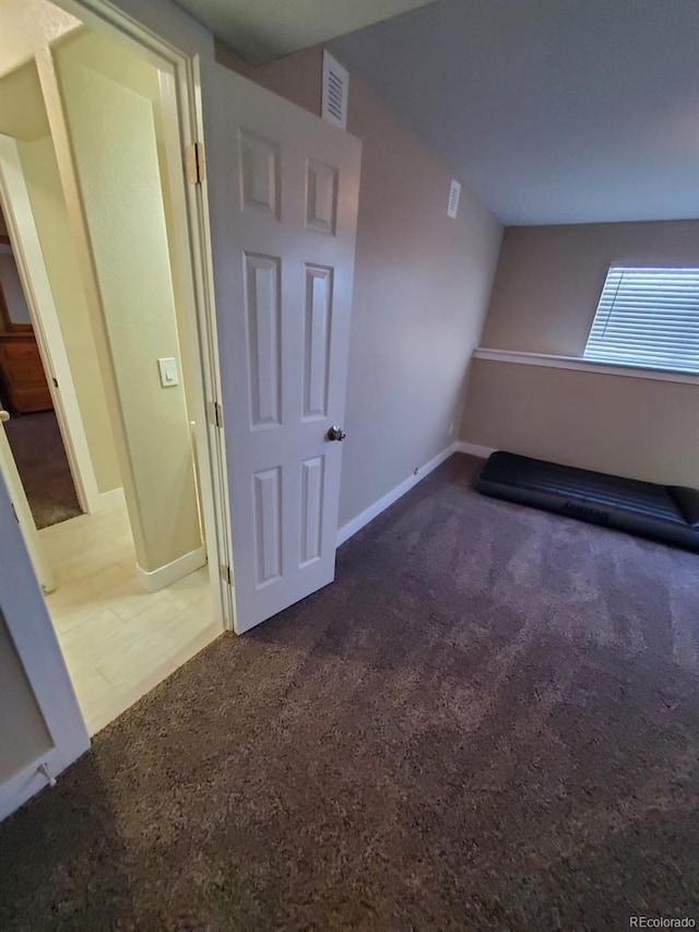 bonus room with dark colored carpet