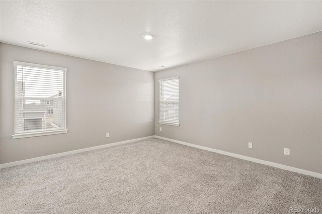 carpeted empty room with a wealth of natural light and a textured ceiling