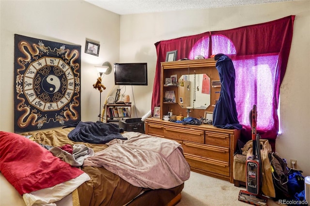 2480 Allegheny Dr, Colorado Springs, CO 80919 - view of carpeted bedroom
