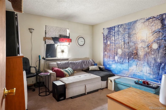 2480 Allegheny Dr, Colorado Springs, CO 80919 - living room featuring carpet flooring and a textured ceiling