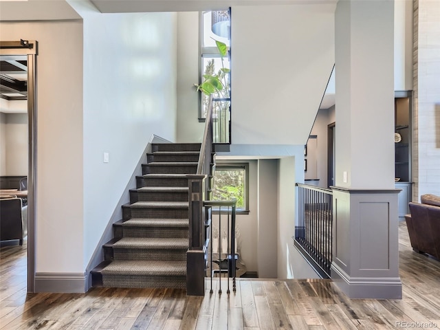 stairway with hardwood / wood-style floors