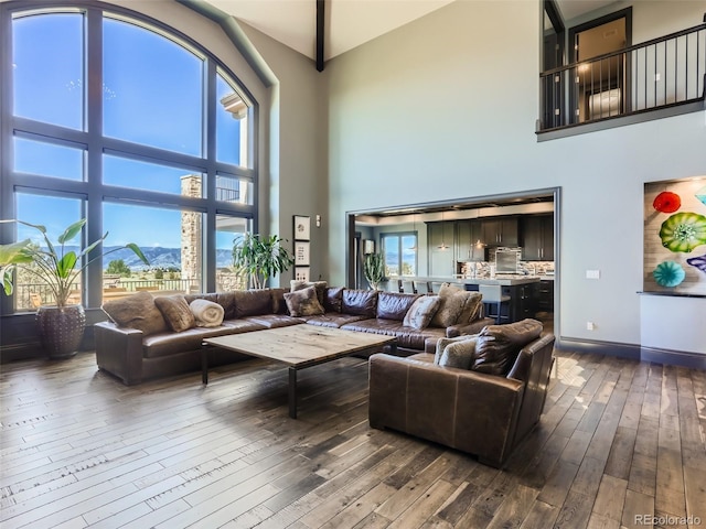 living room with a mountain view, high vaulted ceiling, and hardwood / wood-style floors