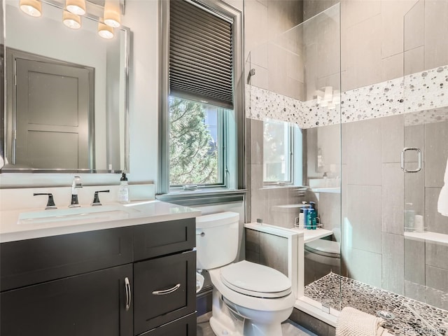 bathroom with vanity, an enclosed shower, and toilet