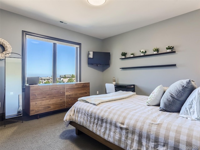 bedroom with carpet floors