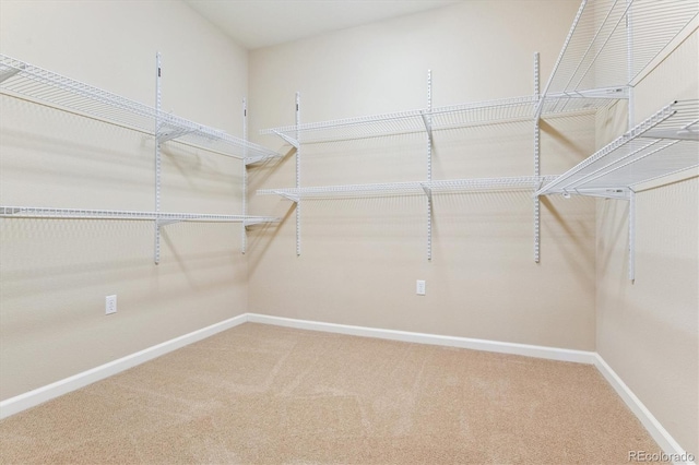 8578 Gold Peak Dr Unit G, Highlands Ranch, CO 80130 - photo 21
