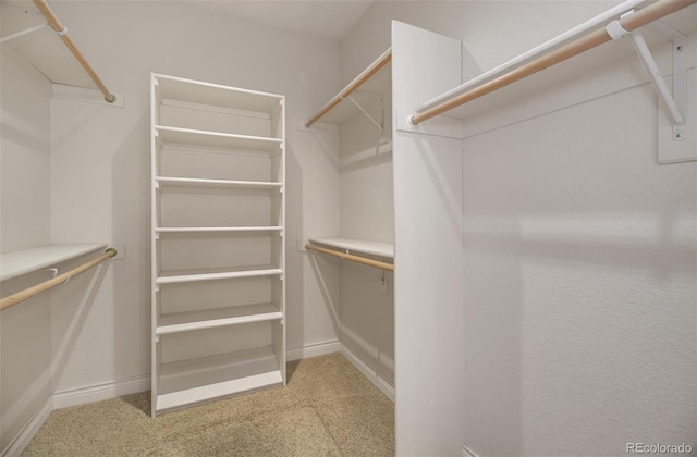 walk in closet featuring light carpet