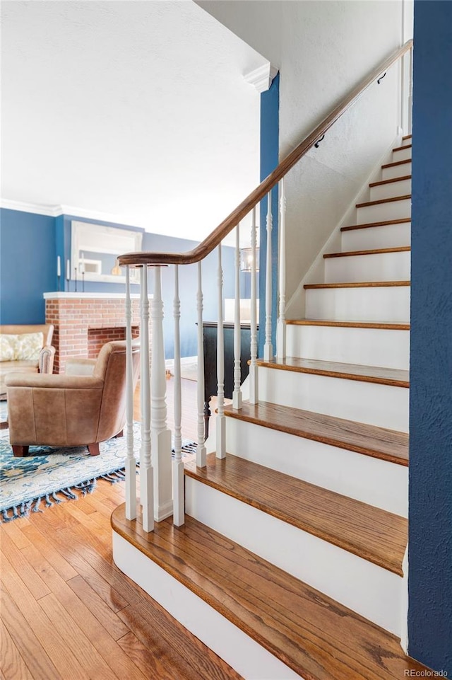 11954 W 61st Ave, Arvada, CO 80004 - photo 14