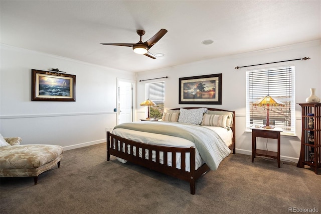 2320 Morningview Ln, Castle Rock, CO 80109 - bedroom featuring crown molding, carpet flooring, baseboards, and multiple windows