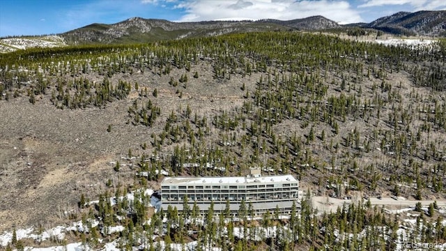 22097 Saints John Rd Unit 2526, Keystone, CO 80435