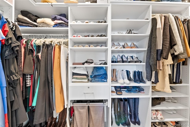 view of spacious closet