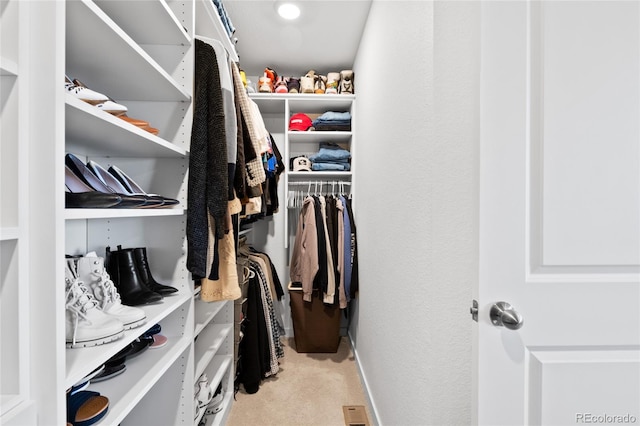 spacious closet with carpet flooring