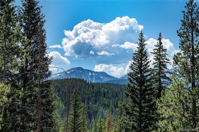 220 Gcr 702 Unit 20-301, Winter Park, CO 80446 - photo 10