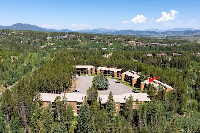 220 Gcr 702 Unit 20-301, Winter Park, CO 80446 - photo 26
