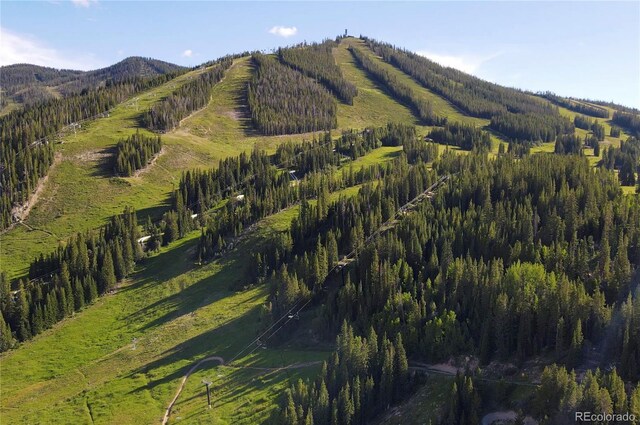 220 Gcr 702 Unit 20-301, Winter Park, CO 80446 - photo 35