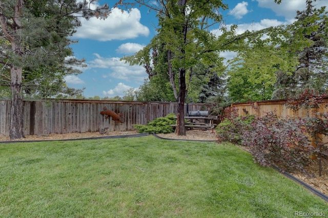 9079 Garnet St, Highlands Ranch, CO 80126 - view of yard