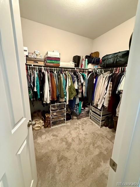 spacious closet with carpet