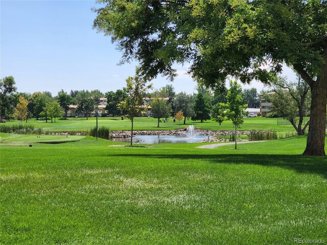750 S Clinton St Unit 12D, Denver, CO 80247 - photo 32