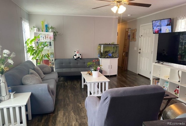 431 N 35th Ave Unit 51, Greeley, CO 80631 - living area with wood finished floors, crown molding, and a ceiling fan