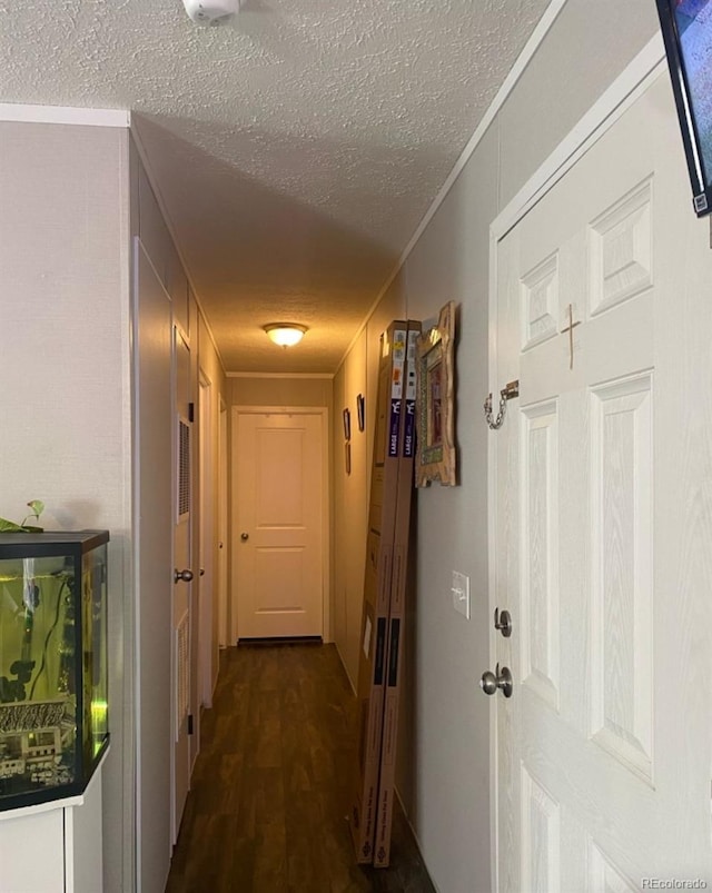 431 N 35th Ave Unit 51, Greeley, CO 80631 - corridor with a textured ceiling, dark wood finished floors, and ornamental molding