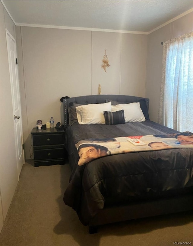431 N 35th Ave Unit 51, Greeley, CO 80631 - bedroom featuring ornamental molding and carpet floors