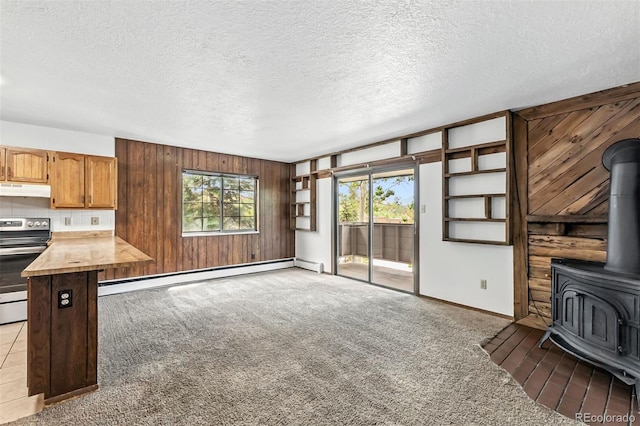675 Straight Creek Dr Unit 301, Dillon, CO 80435 - unfurnished living room with a wood stove, wood walls, a textured ceiling, carpet flooring, and baseboard heating